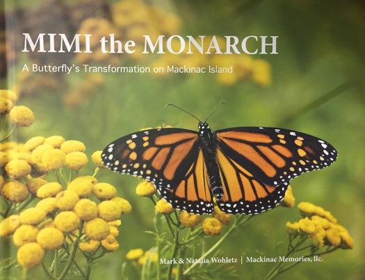 Mimi the Monarch